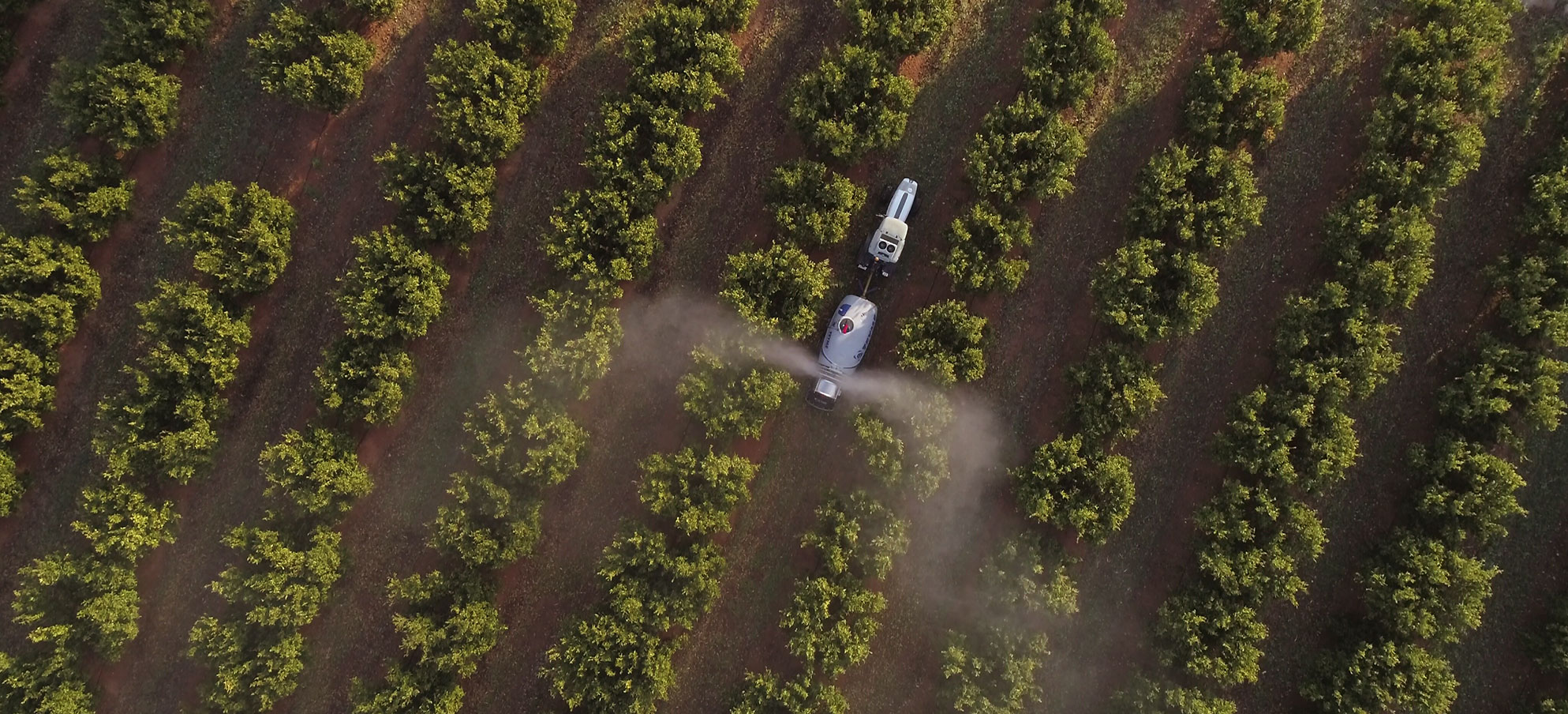 Fitosanitarios y maquinaria Agricola Nacarino SL